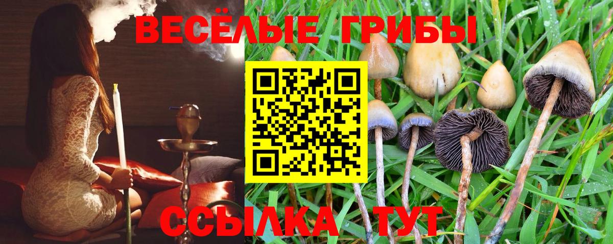Псилоцибиновые грибы Cubensis  Вход с VPN  Урай 